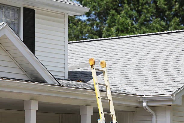 Best Shed Removal  in Palermo, NJ